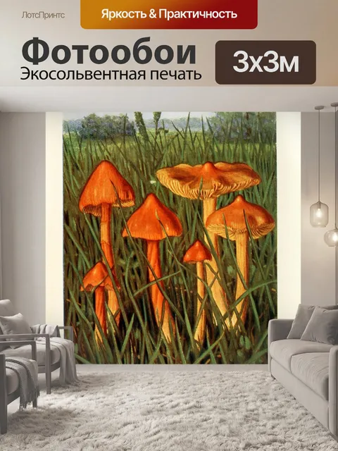 Фотообои Грибы век винтаж старый