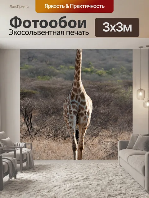 Фотообои Жирафа