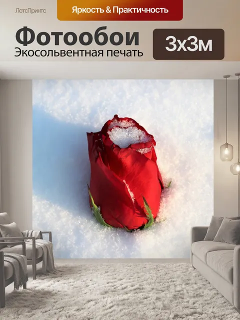 Фотообои Красная роза покрыта снегом