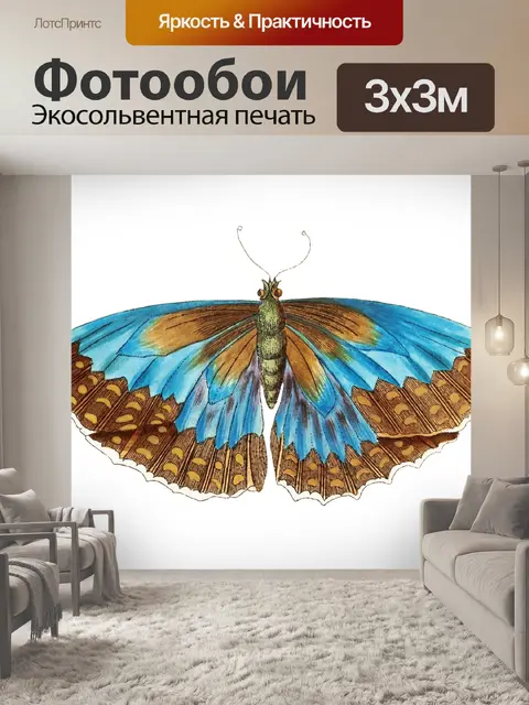 Фотообои Клипарт бабочка винтажное искусство