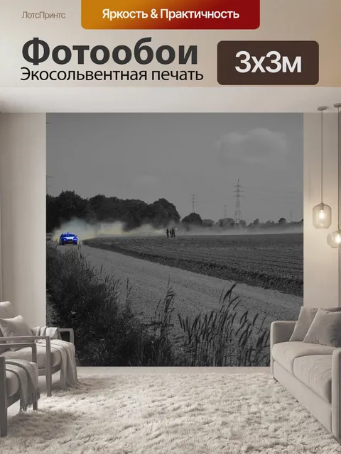 Фотообои Гонка