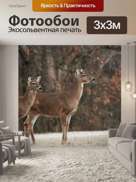 Фотообои Две белохвостые лани зимой