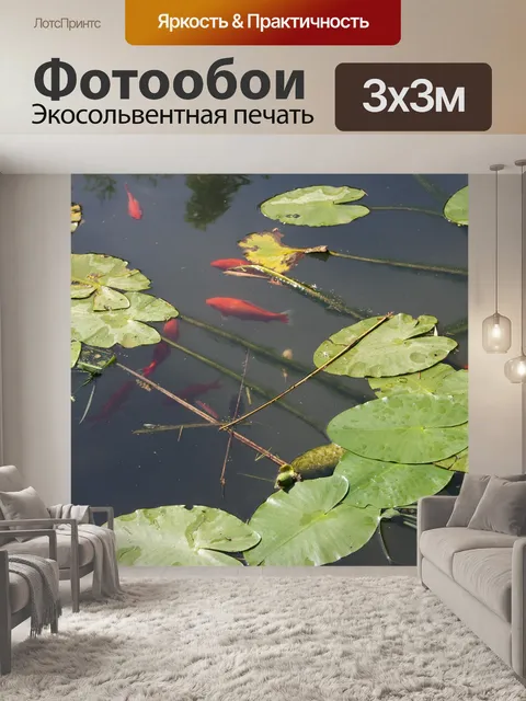 Фотообои Рыбы