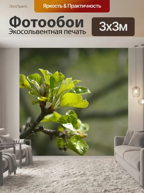 Фотообои Яблоневый цвет