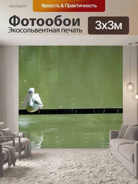 Фотообои Пеликан