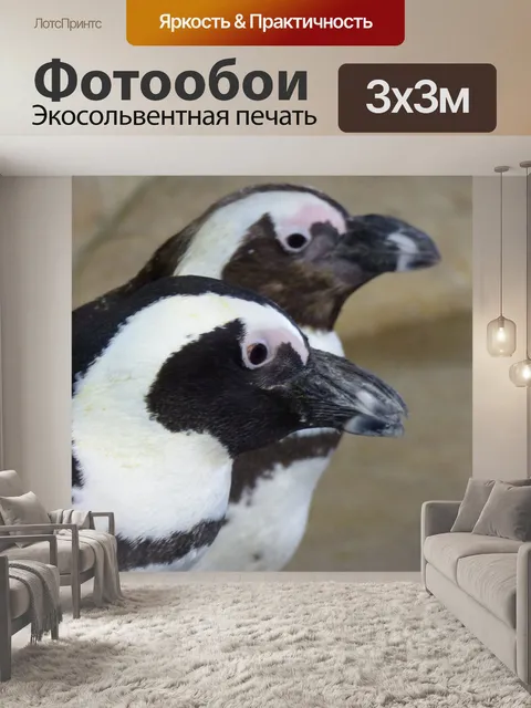 Фотообои Пингвин на льду