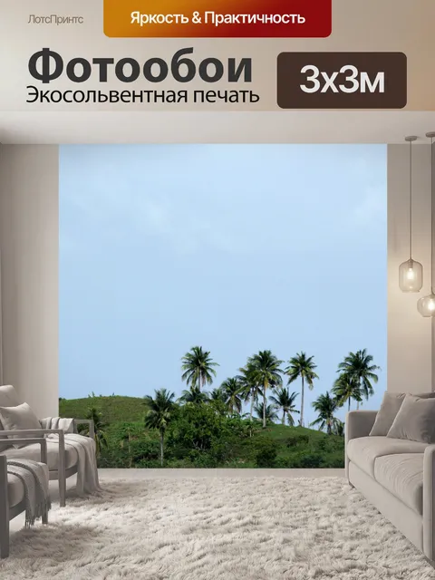 Фотообои Кокосовая пальма