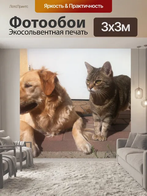 Фотообои Собака
