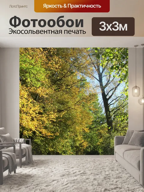 Фотообои Деревья
