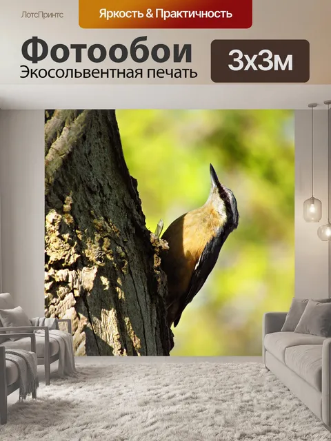 Фотообои Птица