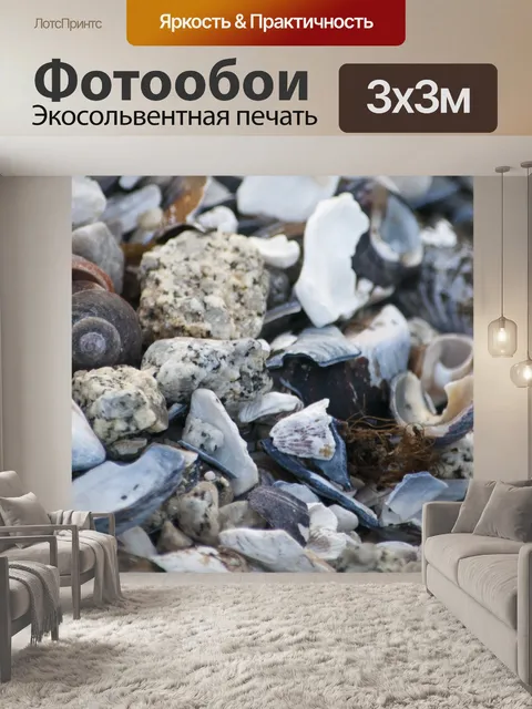 Фотообои Морские раковины Баннер