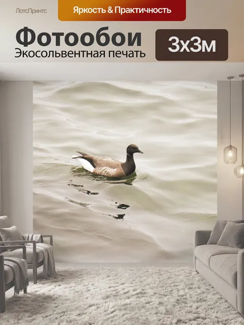Фотообои Дикий гусь на воде