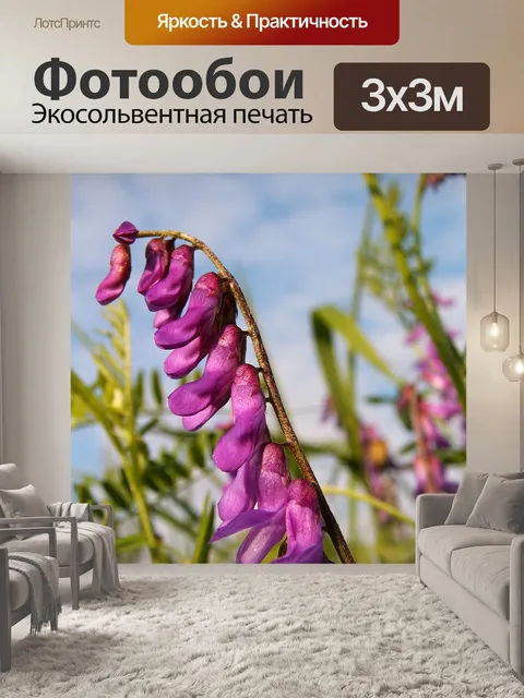 Фотообои Небо
