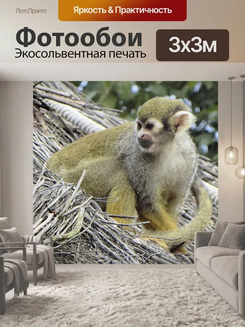 Фотообои Париж