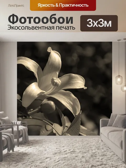 Фотообои Цветок
