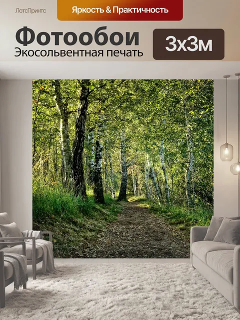 Фотообои Березы