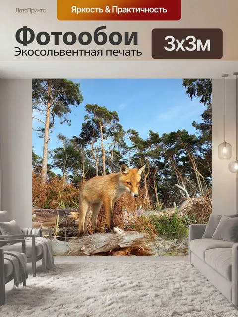 Фотообои Лиса