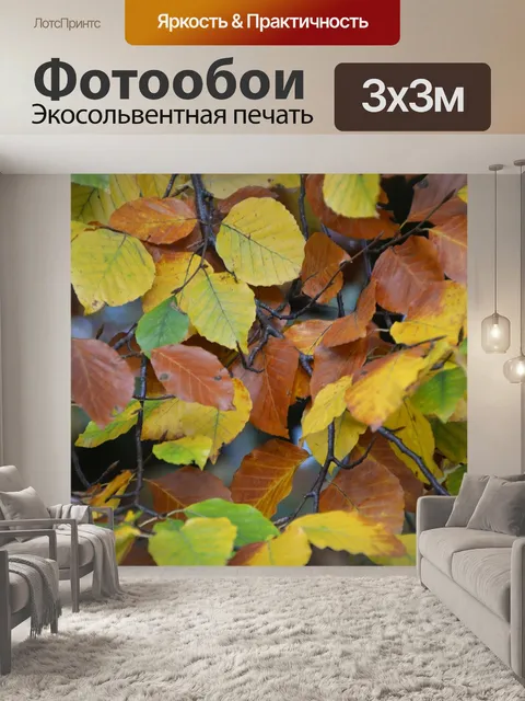 Фотообои Листья