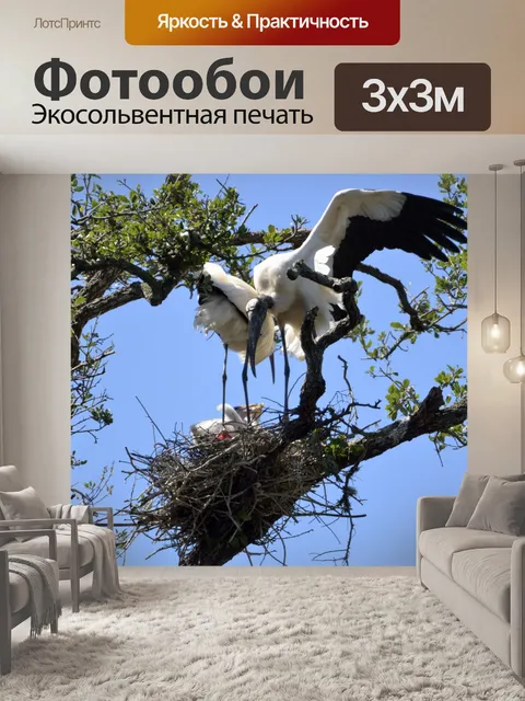 Фотообои Дерево Аисты Верстка