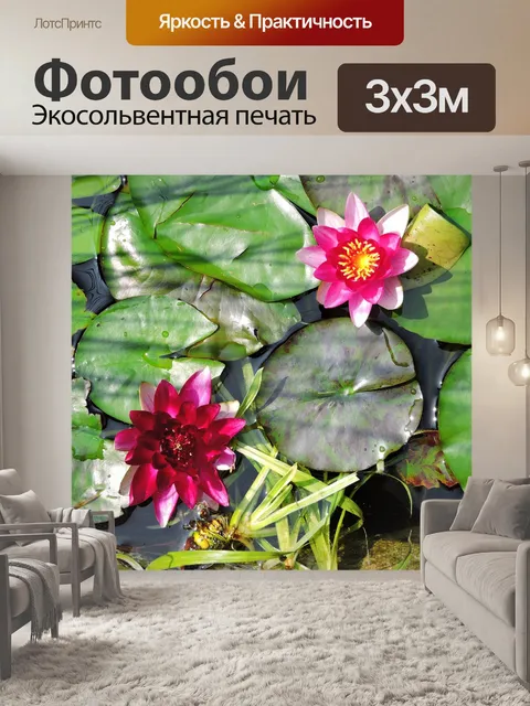 Фотообои Водяные лилии