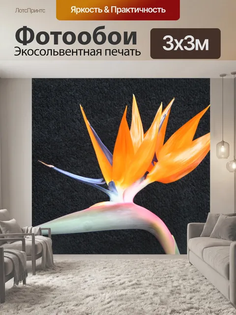 Фотообои Райская птица