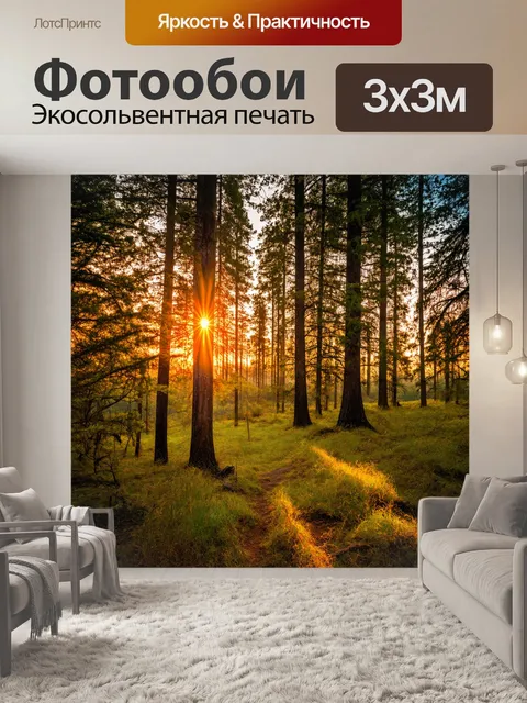 Фотообои закат в глухом лесу, уютная тишина, мудрые деревья, вечный покой