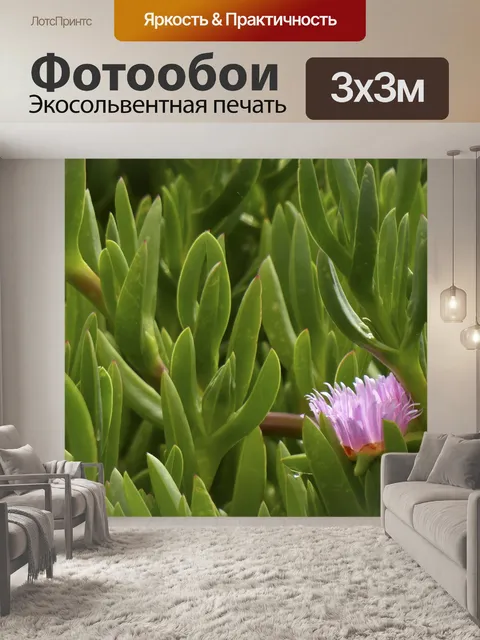 Фотообои Розовый и зеленый