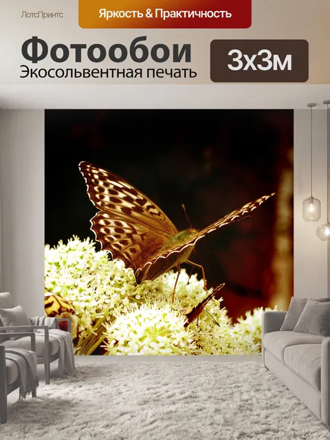 Фотообои Бабочка