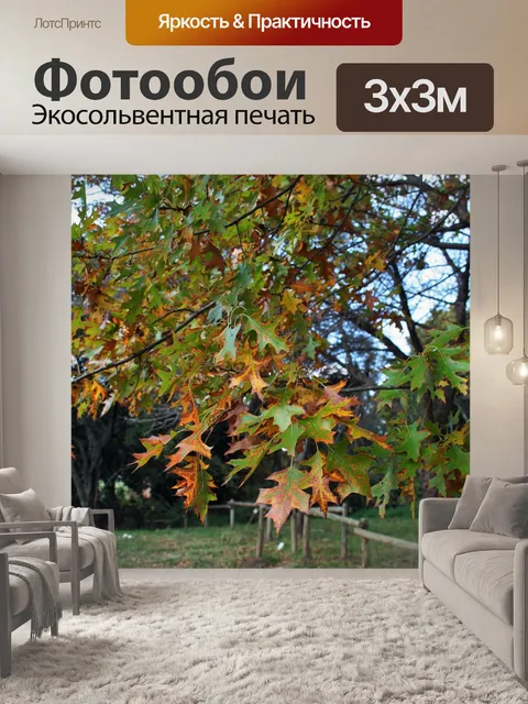 Фотообои дубовые листья осенью