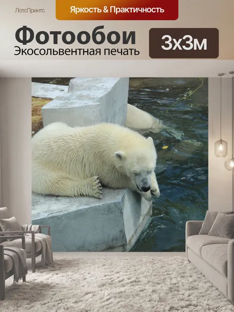 Фотообои Белый медведь