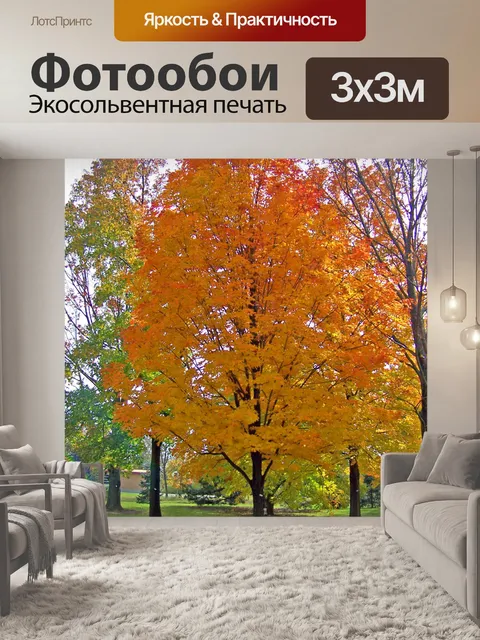 Фотообои Осенний клен в парке