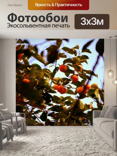 Фотообои Хурма