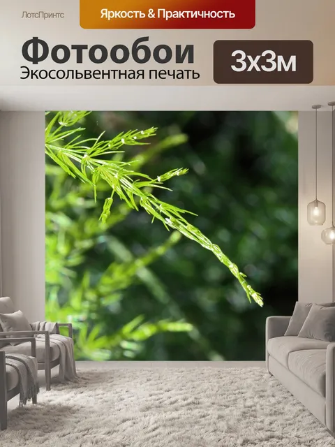 Фотообои нежная ветка дикой спаржи
