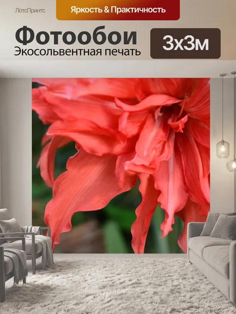 Фотообои красный цветок