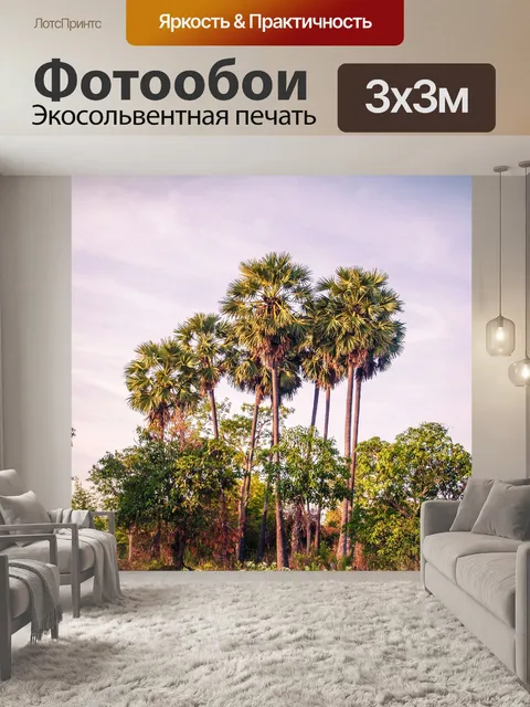 Фотообои Сахарная пальма