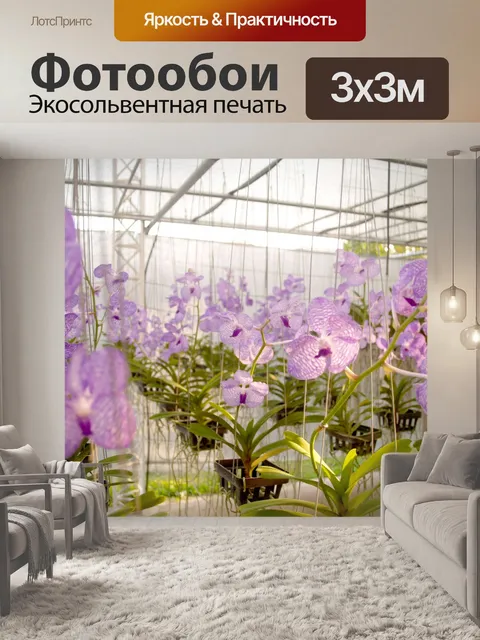 Фотообои Фото цветка орхидеи
