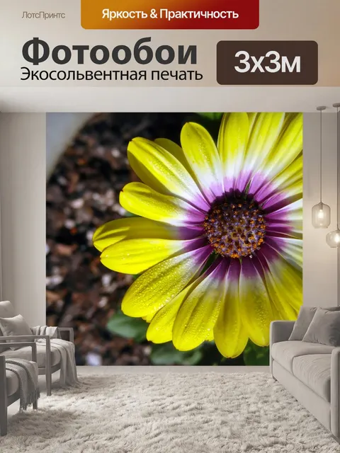 Фотообои Африканец