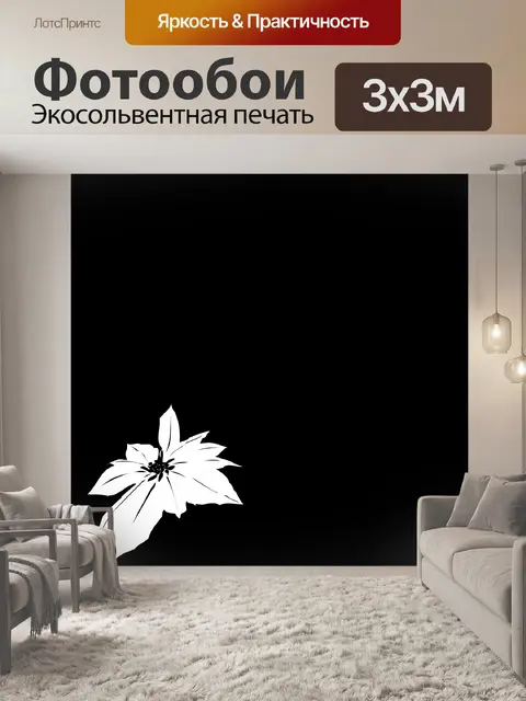 Фотообои белый цветок