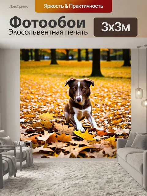 Фотообои осень: собака, играющая с опавшими листьями в парке