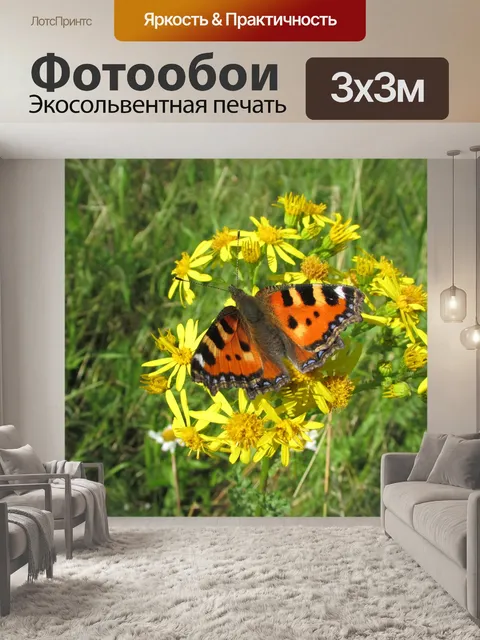 Фотообои Бабочка