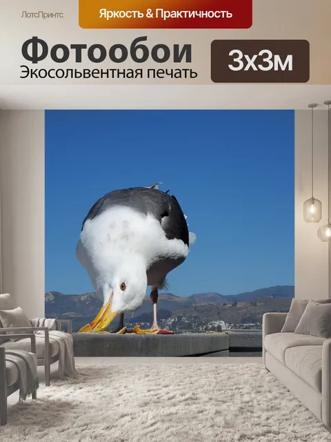 Фотообои Еда чайки