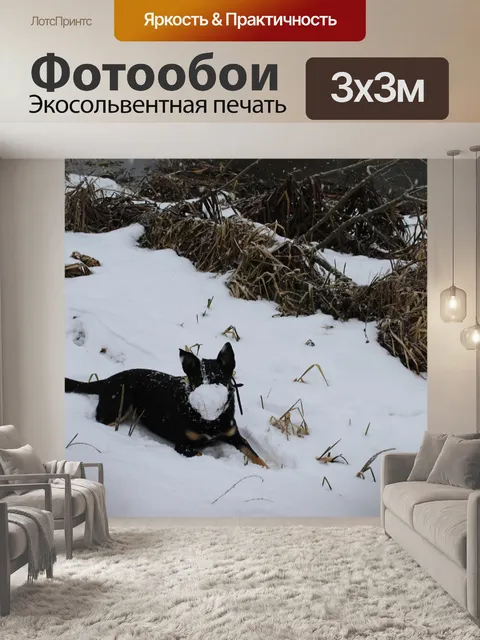Фотообои Собака, зима