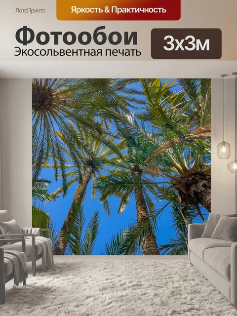 Фотообои Пальмы и голубое небо