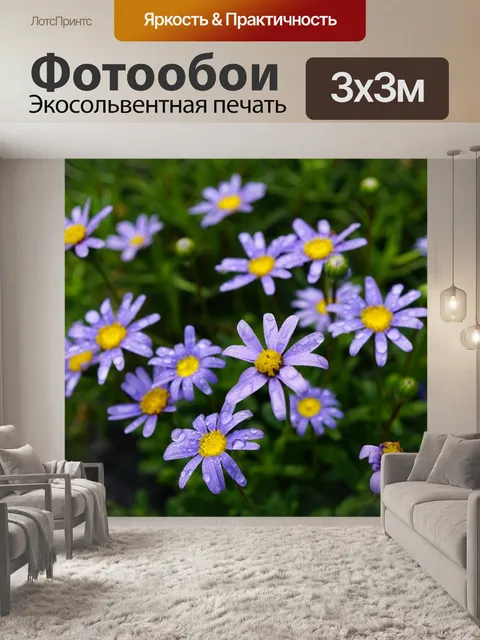 Фотообои Фиолетовые цветы