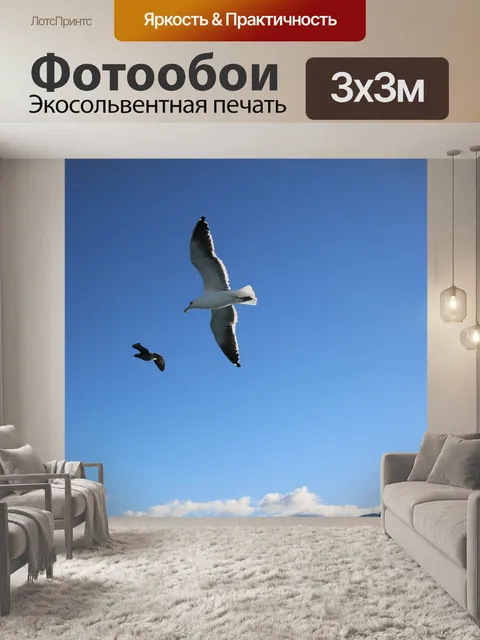 Фотообои Морская птица