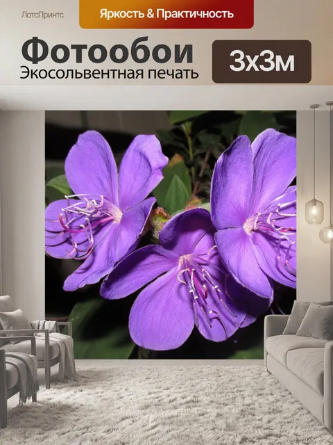 Фотообои Цветок