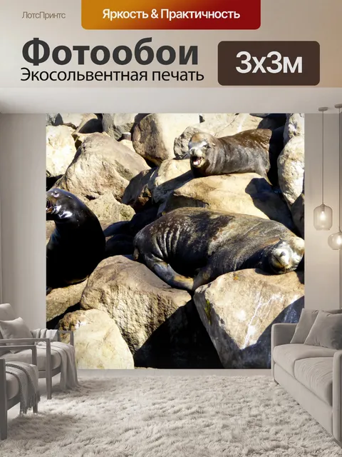 Фотообои три пломбы на скалах