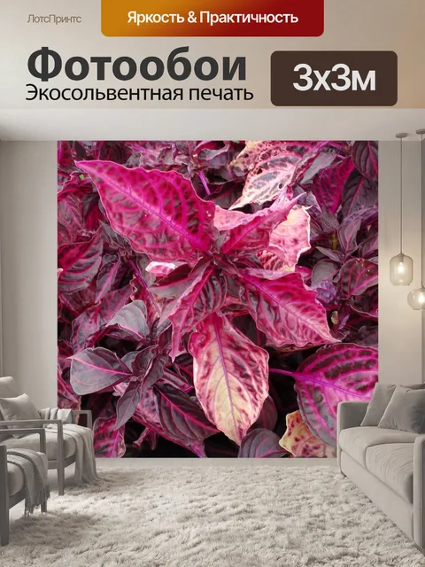 Фотообои Iresine Bloodleaf завод
