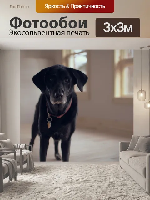 Фотообои Старшая собака