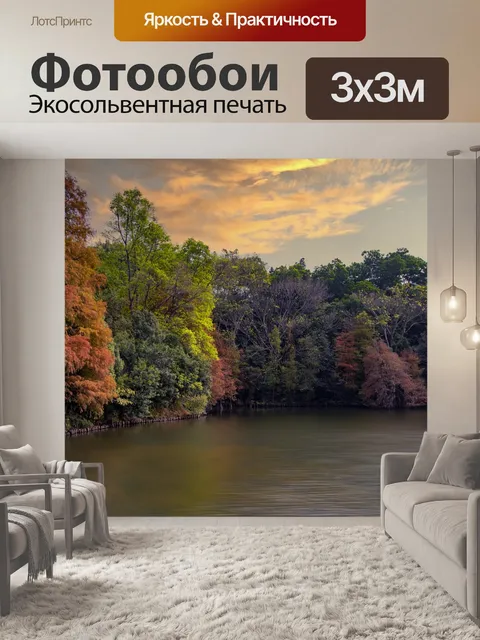 Фотообои Шэньчжэнь